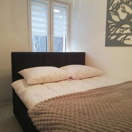Apartament Stella Duszniki Zdrój Exteriér fotografie