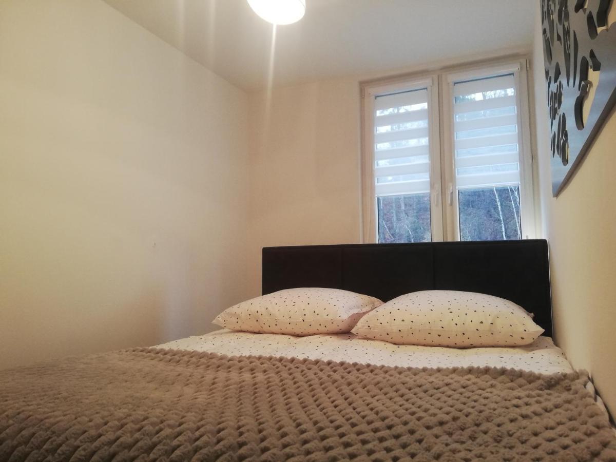 Apartament Stella Duszniki Zdrój Exteriér fotografie