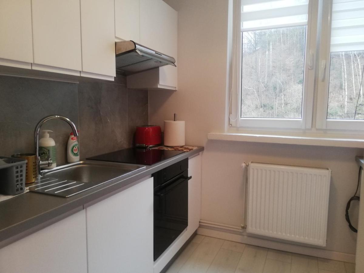 Apartament Stella Duszniki Zdrój Exteriér fotografie