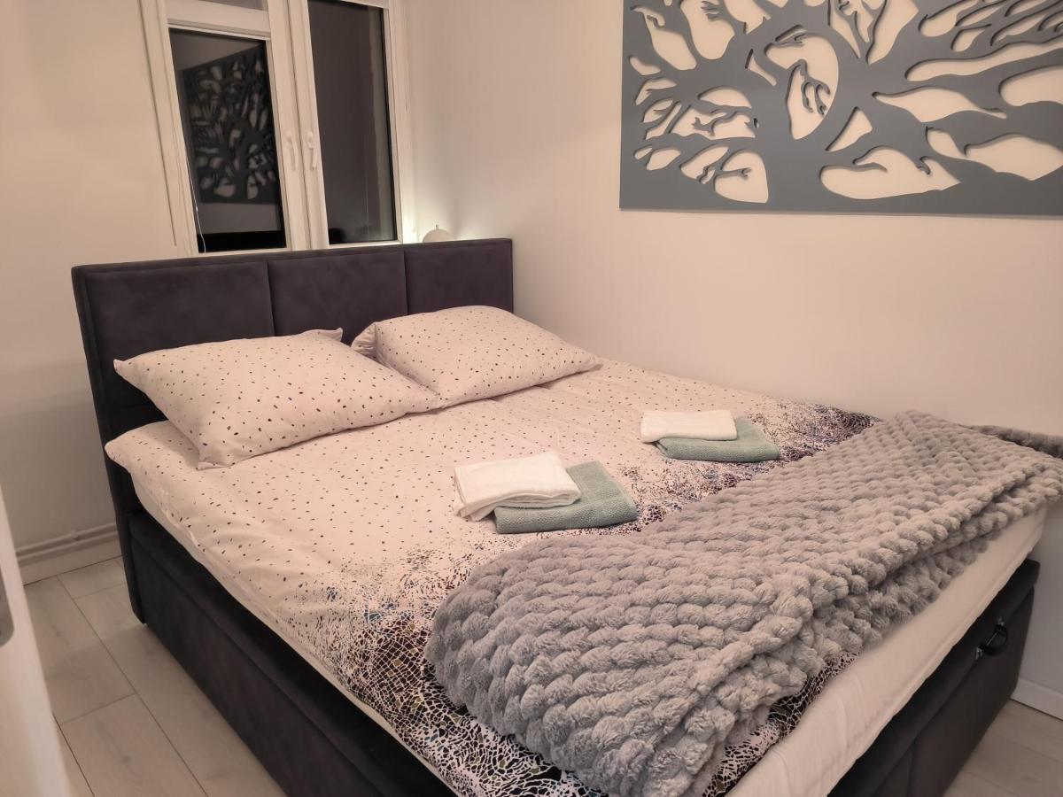 Apartament Stella Duszniki Zdrój Exteriér fotografie